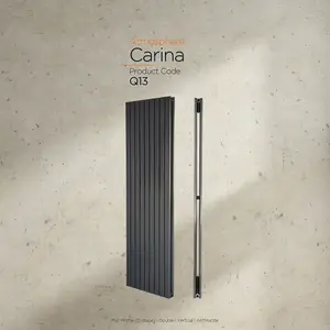 Warmhaus Carina Flat profile double panel vertical radiator in anthracite 1800 (h) x 531 (w)