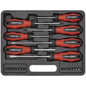 21 Piece Premium S2 Steel Screwdriver and Bit Set with Soft Grip Handles