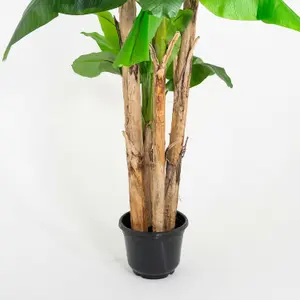 Blooming Artificial - 275cm / 9ft XL Artificial Musa Banana Tree