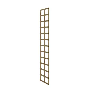 Forest Garden 6ft Square European softwood Trellis panel (W)32cm x (H)183cm