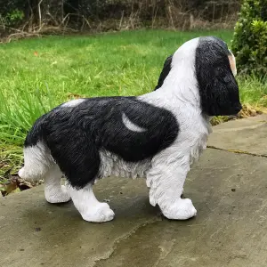 Large (31cm) Cavalier King Charles Spaniel figurine, heavy weight,  home or garden decoration, gift boxed