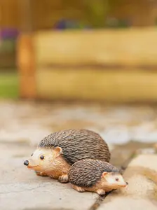 2pc Hedgehog Garden Ornaments Set