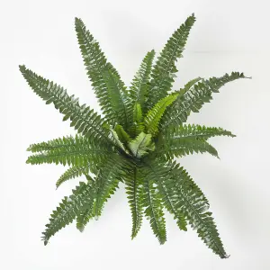 Homescapes Boston Fern in Pot, 60 cm Tall