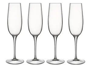 Luigi Bormioli Crescendo Clear Straight Crystal Modern Durable Champagne Glasses Set 235ml Pack of 4