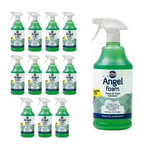 Nilco Angel Foam Patio & Path Cleaner 12L Ready To Use Dirt Algae Remover 12x 1L