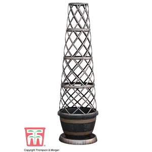 1 x Barrell Effect Tower Pot Flower Planter with Trellis Frame for Climbing Plants Support Frame