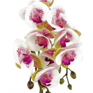 48cm Harlequin Orchid Artificial  - Pink with Gold Pot