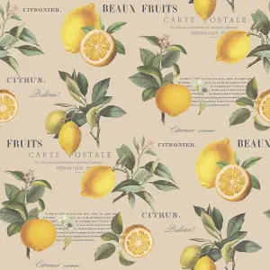 Galerie Just Kitchens Beige Citron Botanical Wallpaper Roll