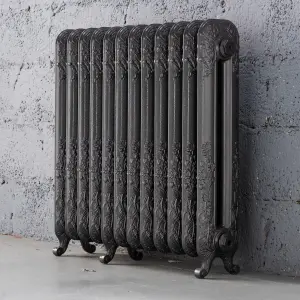 Arroll Daisy Cast iron Grey 12 Column Radiator, (W)814mm x (H)794mm