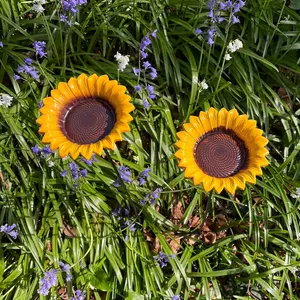 Cast Iron Wild Bird Sunflower Dish Bird Feeder (Set of 5)