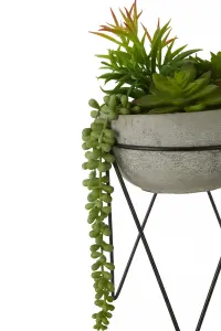 Fiori Mixed Succulent with Metal Stand Artificial Plant Foliage