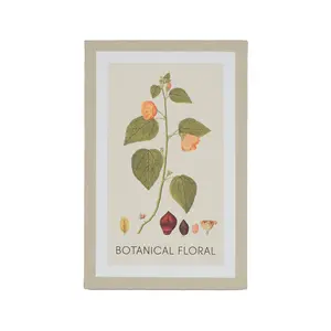 Arthouse Botanical Neutral Tones Mixed size Canvas art, Set of 6