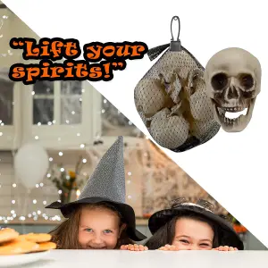 Halloween Skulls Decoration Pack Trick or Treat Party 17cm White