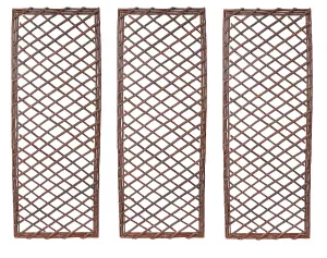 Natural Willow Garden Trellis Plant Supports Set of 3