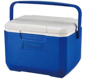 Performance 5QT Personal Cooler