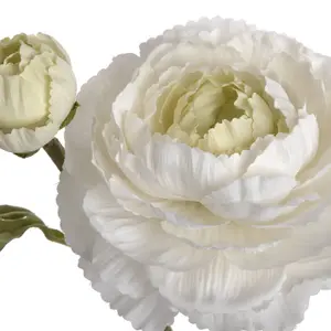 UK Homeliving White Ranunculus Spray