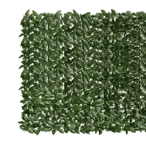 Berkfield Balcony Screen with Dark Green Leaves 300x150 cm