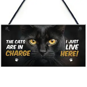 Red Ocean Funny Joke The Cats Are In Charge Cat Gifts For Cat Lovers Hanging Wall Sign Pet Gifts Pet Signs