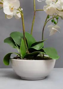 Fiori White Orchid Plant Artificial Plant Foliage