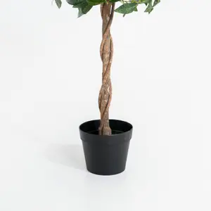 Blooming Artificial - 90cm / 3ft Fake Bay Laurel Tree (Pair)