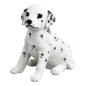 Terrastyle White, Black Resin Dalmation puppy Garden ornament (H)23.3cm