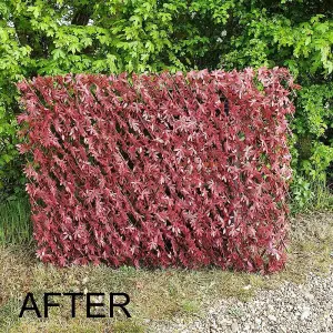 True Products Expanding Willow Trellis Fence with Artificial Red Acer Leaf Plants Garden Wall Screening