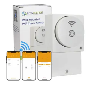 Smart Wall Mounted Wifi Timer Switch