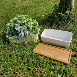 White Succulent and Cactus Trough Plant Pots (Set of 2)