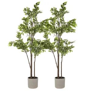 LIVIVO Indoor Plant Pots - Set of 2, Gardening Pot for All House Plants, Herbs & Foliage Plant - Ideal Home Decor Planter - 22cm