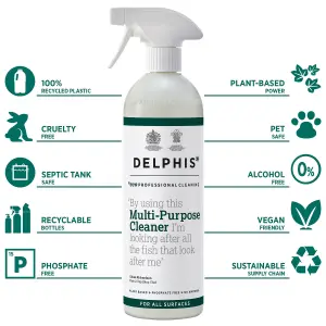 Delphis Eco Professional Cleaning Multi-Purpose Cleaner Spray 700ml