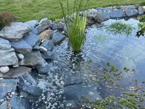 Garden Rockery / Pond Edging Stones -Welsh Slate 200-300mm