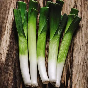 Organic Leek Carentan 2 1 Seed Packet