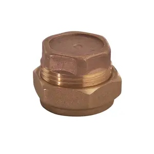 Plumbsure Brass Compression Stop end (Dia)15mm