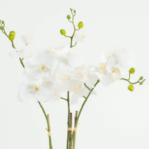 Blooming Artificial - 70cm / 2.25ft White Artificial Phalaenopsis Orchid