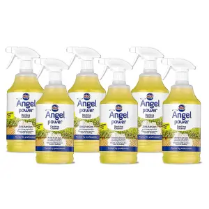 Nilco Angel Power 6L Garden Decking Wooden Floor Cleaner & Trigger Foam 6x 1L