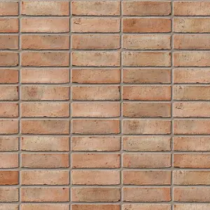 Ibstock Northern Buff Brick 65mm Mini Pack 150