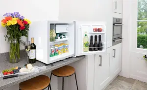 Subcold Eco50 Mini Fridge - White