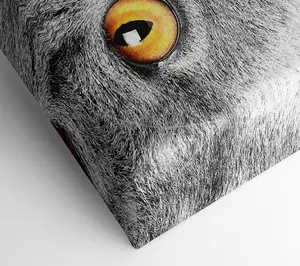 Serious Grey Cat Canvas Print Wall Art - Medium 20 x 32 Inches