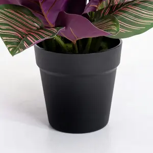 Blooming Artificial - 40cm / 1.25ft Faux Pinstripe Calathea