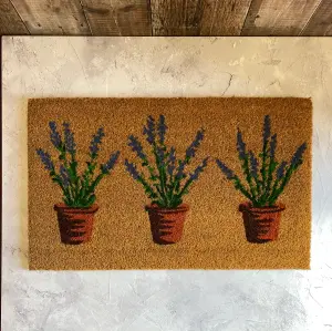 Lavandula Lavender Pots Indoor & Outdoor Coir Doormat