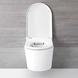 Japanese style wall hung smart toilet bidet