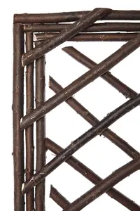 Natural Willow Garden Trellis Plant Supports Set of 3