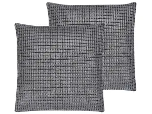 Set of 2 Cushions ASPIDISTRA Velvet 45 x 45 cm Geometric Grey