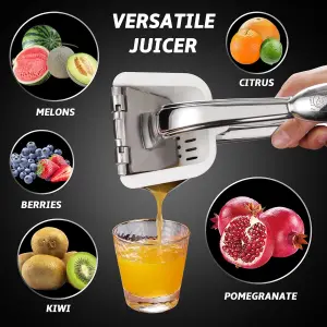 Gourmet Easy Stainless Steel Manual Hand Juicer