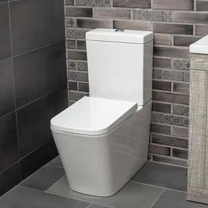 Danby Close Coupled Ceramic Toilet with Soft Close Seat, Quick Release Hinges & Includes Cistern