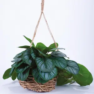 Bloom Artificial Calathea Hanging Basket - Faux Fake Realistic Green Houseplant Floral Home Decoration - H60cm x 40cm Diameter