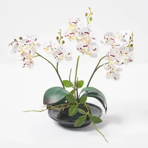 Homescapes White Orchid 38 cm Phalaenopsis in Ceramic Pot