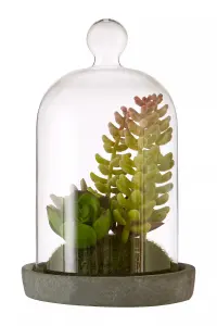 Fiori Small Succulent Dome with Cement Base Artificial Plant Foliage