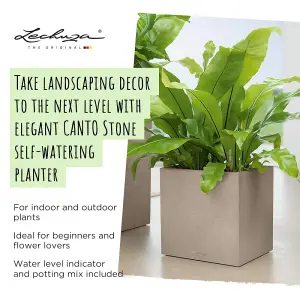 LECHUZA CANTO Stone 30 Low Stone Grey Floor Self-watering Planter with Substrate and Water Level Indicator H30 L30 W30 cm, 12L