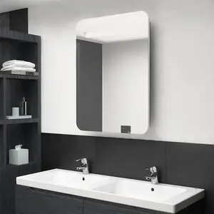 Berkfield LED Bathroom Mirror Cabinet White and Oak 60x11x80 cm